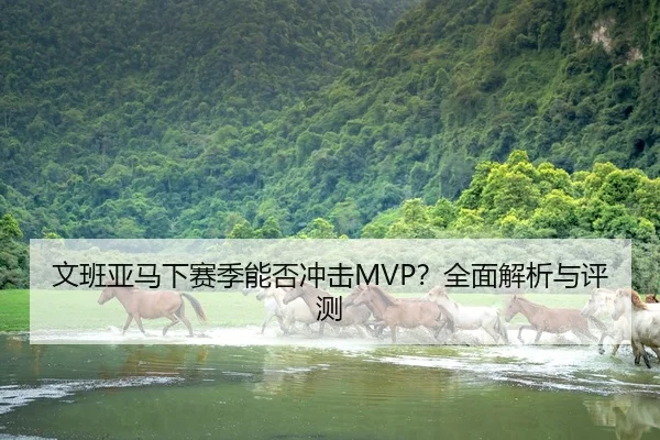 文班亚马下赛季能否冲击MVP？全面解析与评测